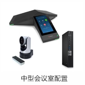 Polycom 和 Zoom  视频会议