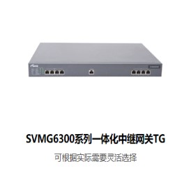 锐捷电话交换机SVMG6300系列一体化中继网关TG